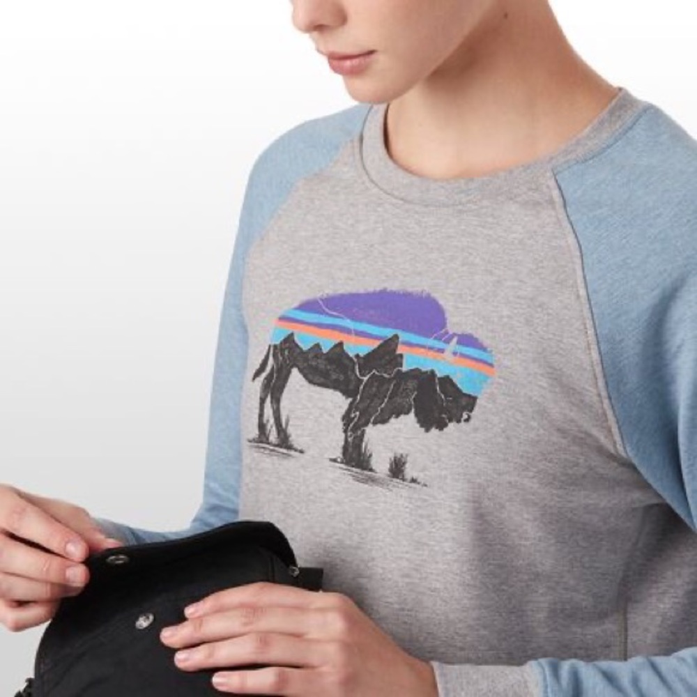 Patagonia Fitz Roy Bison Ahnya Crew Sweatshirt